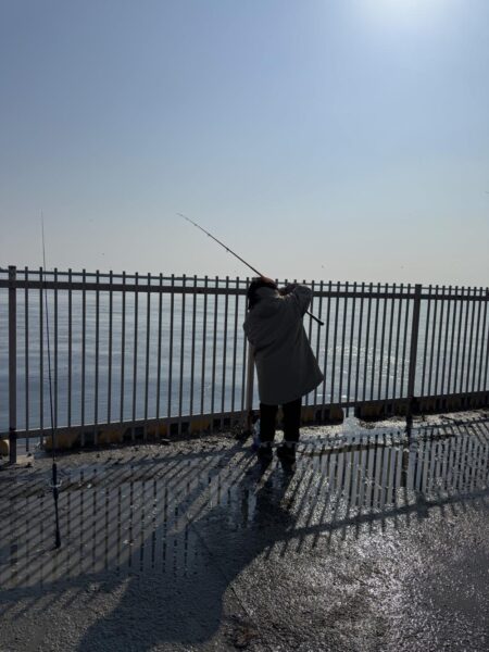 イワシ爆釣なり!