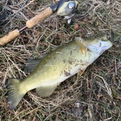 真冬のスモール