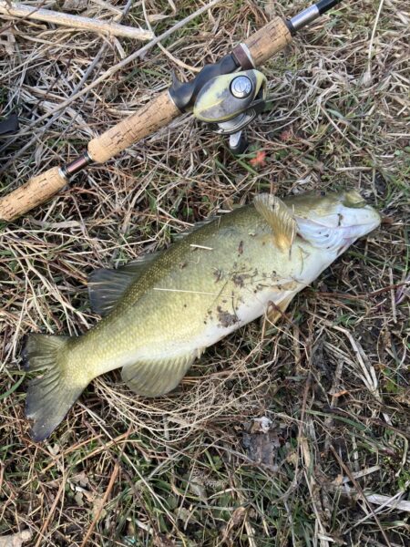 真冬のスモール