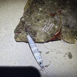 まさかのゲスト