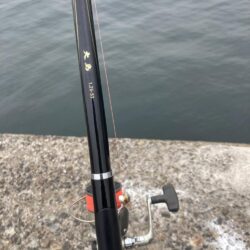 久々の釣行&釣果