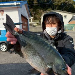 和歌山県串本須江（浜勝渡船）でグレ釣り