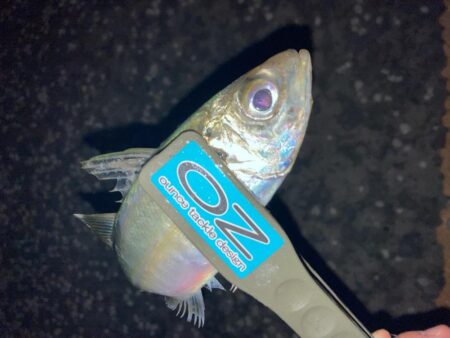 ナイト フロートアジング