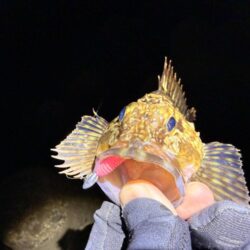 リハビリメバリング