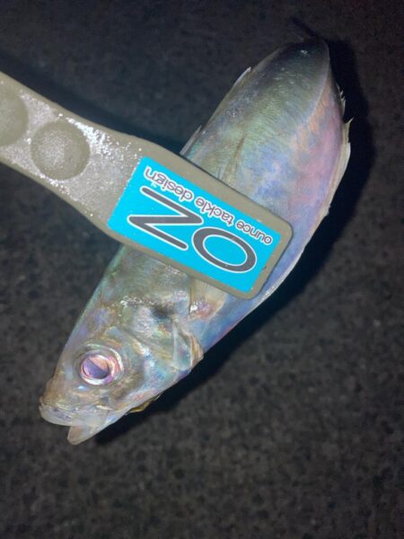 満潮潮止まり前後のフロートアジング