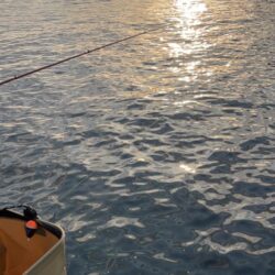 初イラブチャー