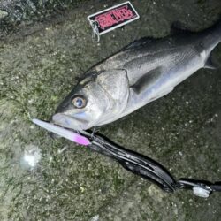 後中ってことはバチ抜けXDAY?