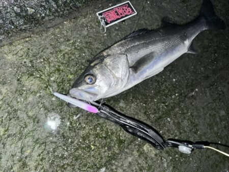 後中ってことはバチ抜けＸDAY？