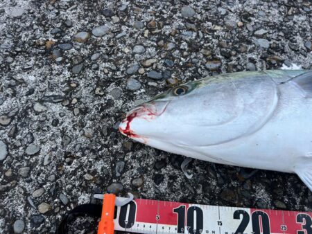 今シーズン初勝利！フルドラグで真っ向勝負！