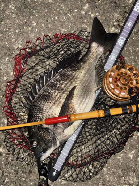 ヘチってきました