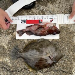 デカキモパン！