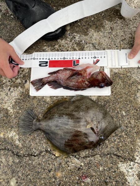 デカキモパン！