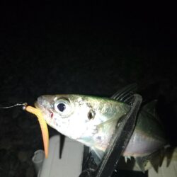 フロートゲ~ム~