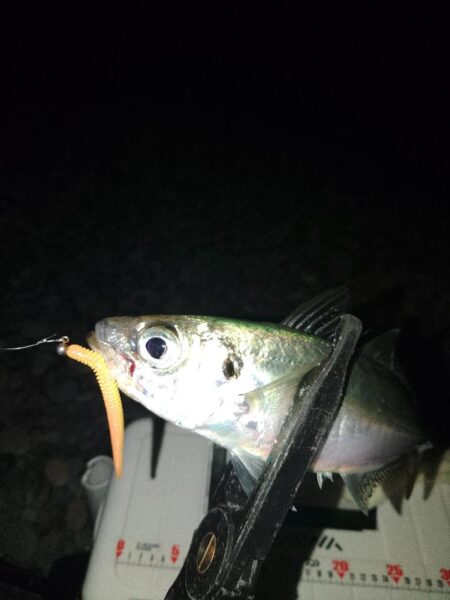 フロートゲ~ム~