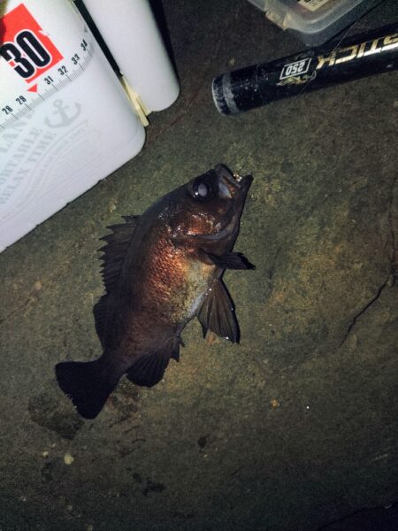 フロートゲ～ム。