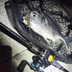 澪示威&ボトムチニング