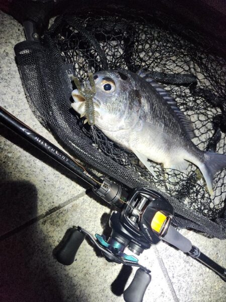 澪示威&ボトムチニング