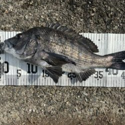 イチノ兄弟、釣果!