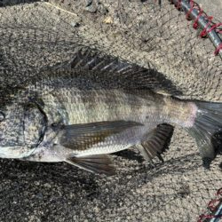 イチノ兄弟、釣果!