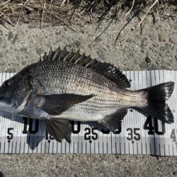 イチノ兄弟、釣果！