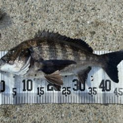 イチノ兄弟、釣果！