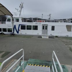 小さい青物やった