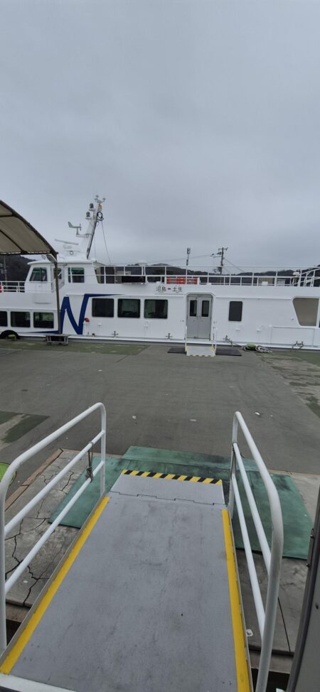 小さい青物やった