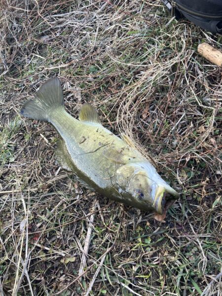 真冬のスモール