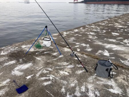 久々の釣行&釣果