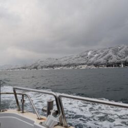 ブレードジギング