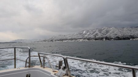 ブレードジギング