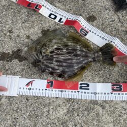 デカキモパン！