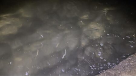 後中ってことはバチ抜けXDAY?