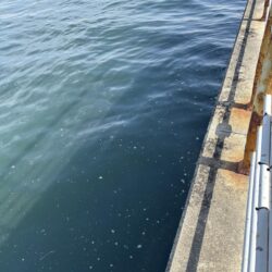 ヘチって来ました