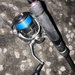 満潮潮止まり前後のフロートアジング