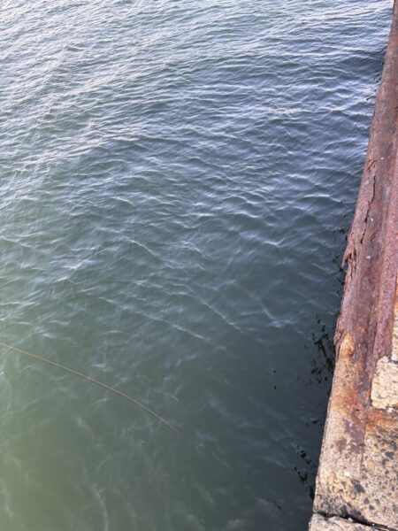 ヘチってきました