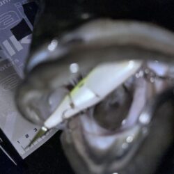 Xデイの前日大潮三日目でも楽しめた！