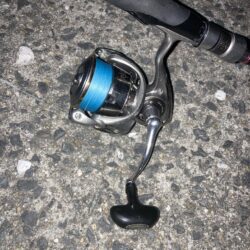 連日のフロートアジングでアジ8匹GET