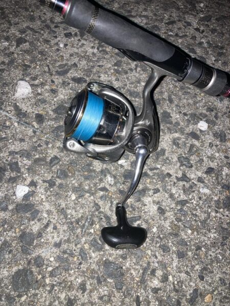 連日のフロートアジングでアジ8匹GET