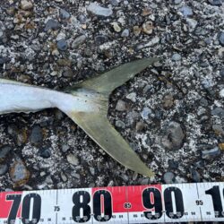 今シーズン初勝利！フルドラグで真っ向勝負！