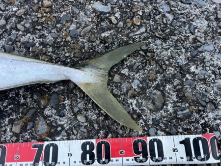 今シーズン初勝利！フルドラグで真っ向勝負！