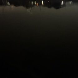 アフター狙いの地元河川