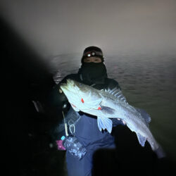 あるルアーで検証したらランカーキャッチ！