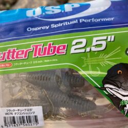 久々のデイチニング釣果