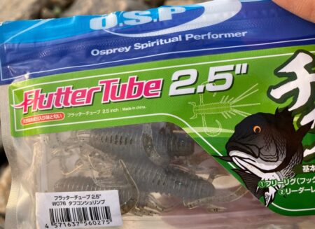 久々のデイチニング釣果