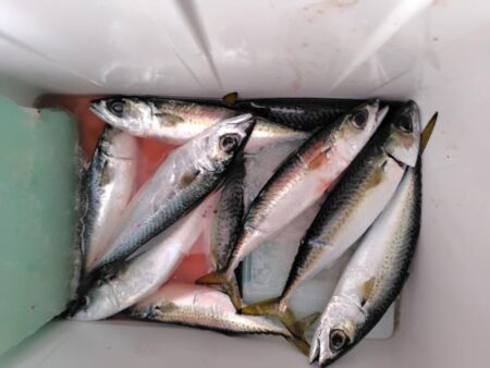 久しぶりの近場