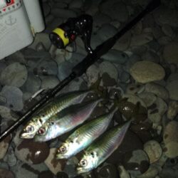 (尺アジ)フロートゲ~ム