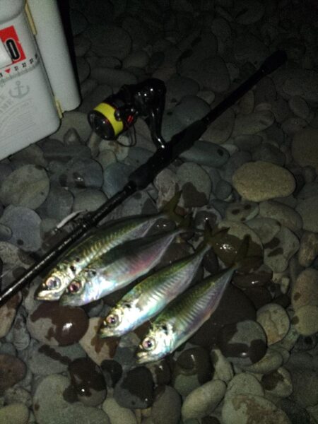 (尺アジ)フロートゲ~ム