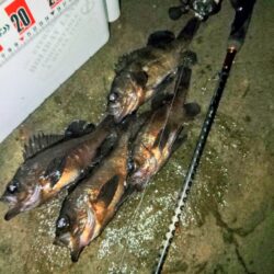 フロートゲ～ム。