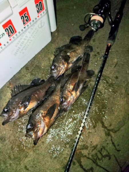 フロートゲ～ム。